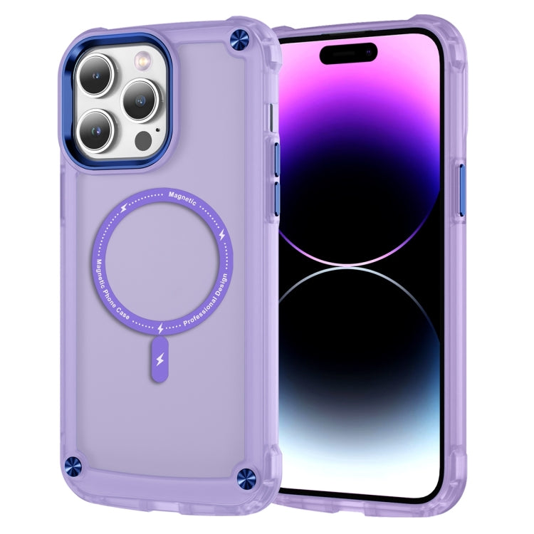 Skin Feel TPU + PC MagSafe Magnetic Phone Case, For iPhone 16e, For iPhone 16 Pro Max, For iPhone 16 Pro, For iPhone 16 Plus, For iPhone 16, For iPhone 15 Pro Max, For iPhone 15 Pro, For iPhone 15 Plus