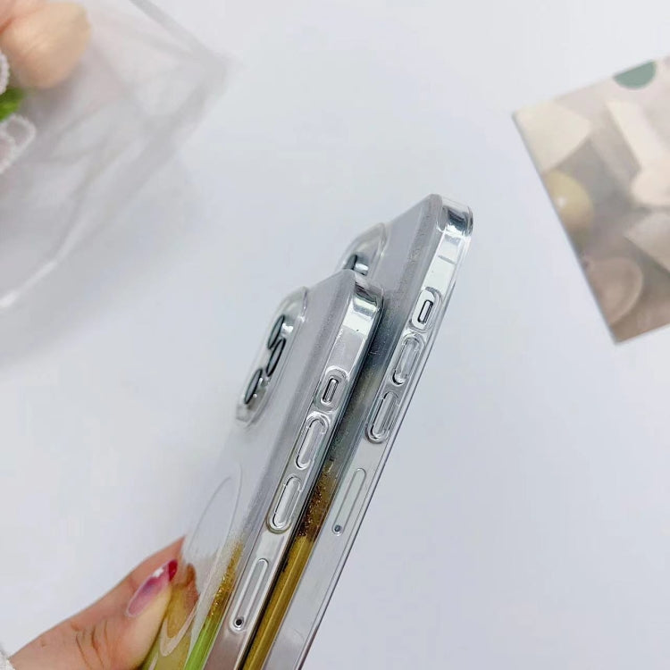 Gilding MagSafe Hybrid Clear TPU Phone Case, For iPhone 16 Pro Max, For iPhone 16 Pro, For iPhone 16 Plus, For iPhone 16